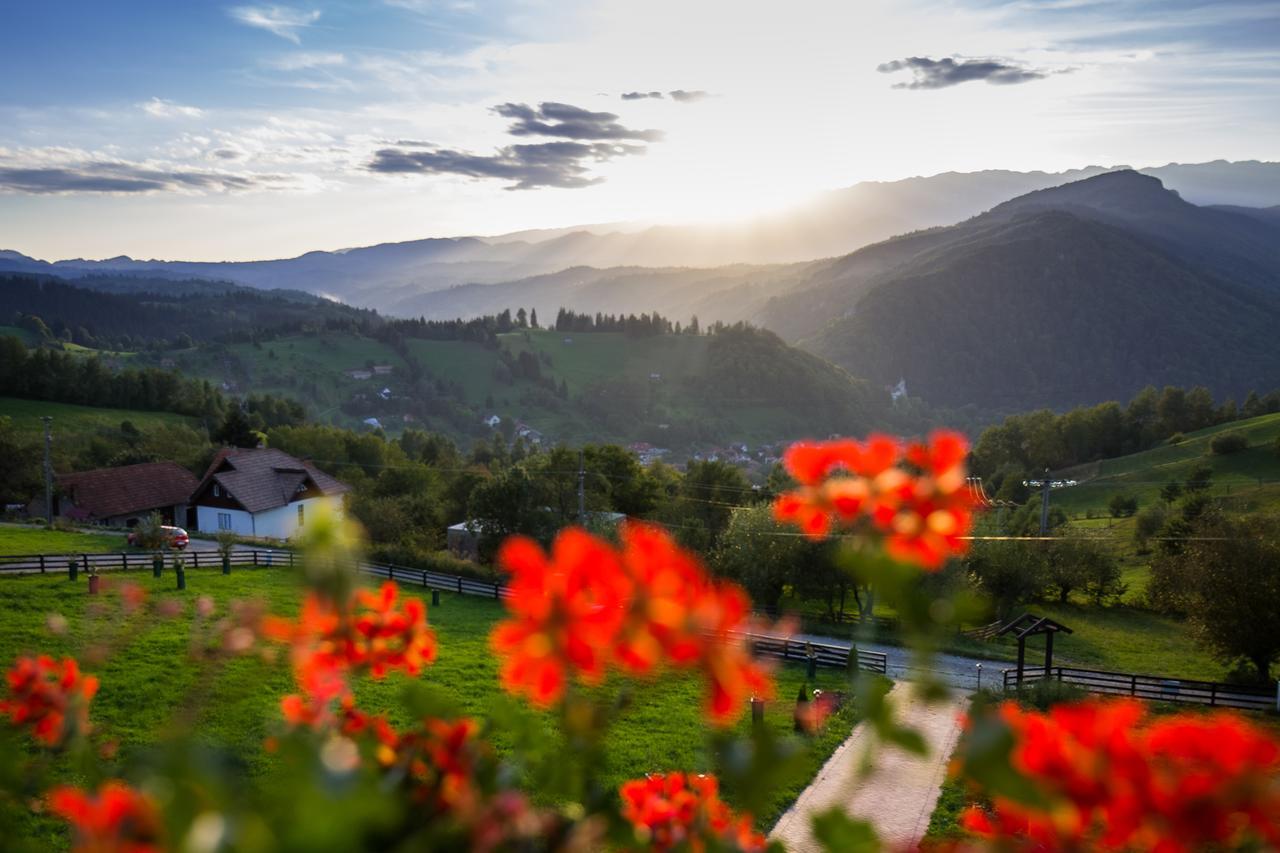 Bran Monte Crai Chalet エクステリア 写真