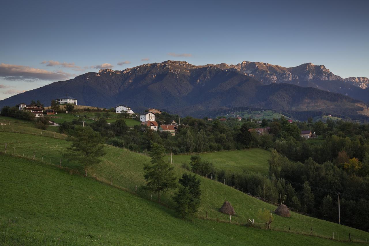 Bran Monte Crai Chalet エクステリア 写真