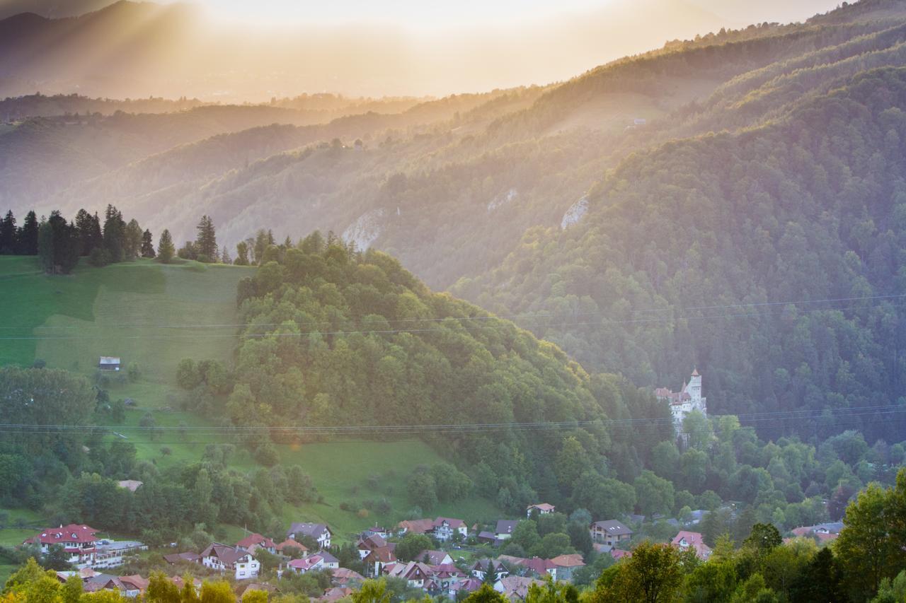 Bran Monte Crai Chalet エクステリア 写真