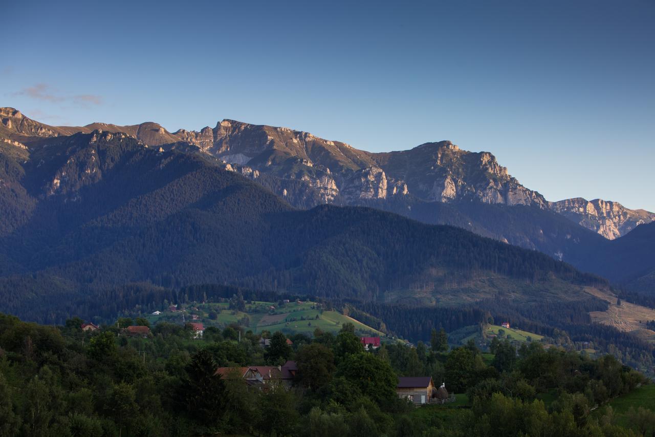 Bran Monte Crai Chalet エクステリア 写真