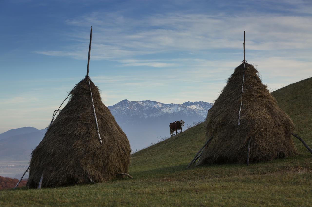 Bran Monte Crai Chalet エクステリア 写真