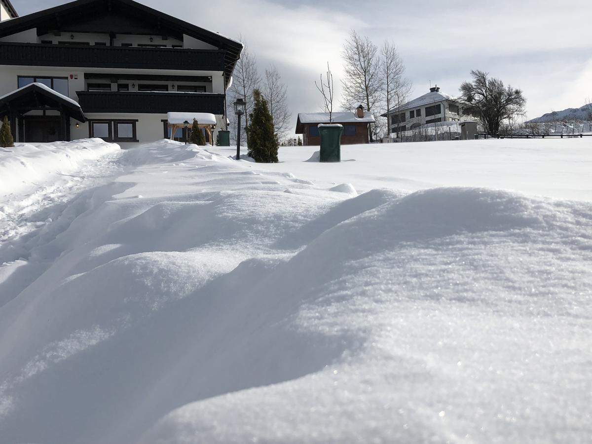 Bran Monte Crai Chalet エクステリア 写真