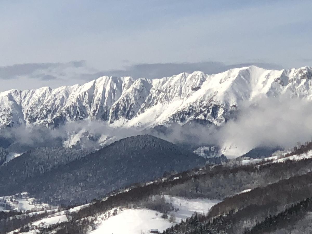 Bran Monte Crai Chalet エクステリア 写真