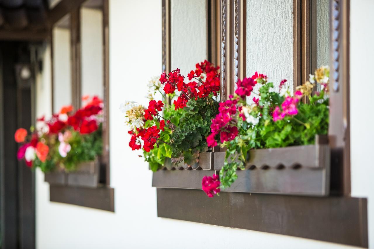 Bran Monte Crai Chalet エクステリア 写真