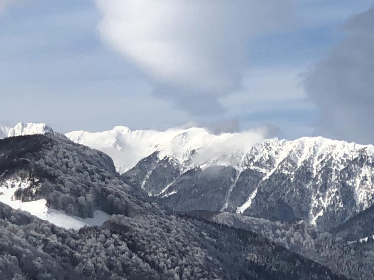 Bran Monte Crai Chalet エクステリア 写真